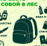 Сезон сбора грибов и ягод - Кежемский район